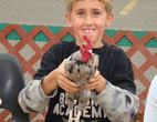 Holding a chicken
